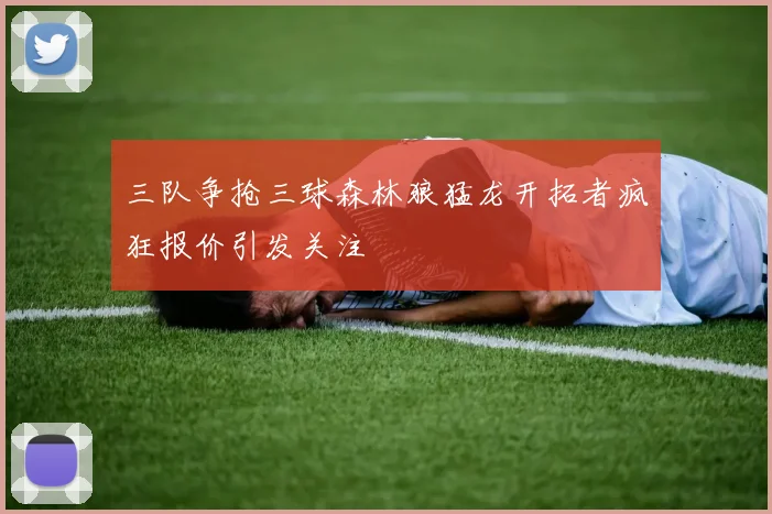 三队争抢三球森林狼猛龙开拓者疯狂报价引发关注
